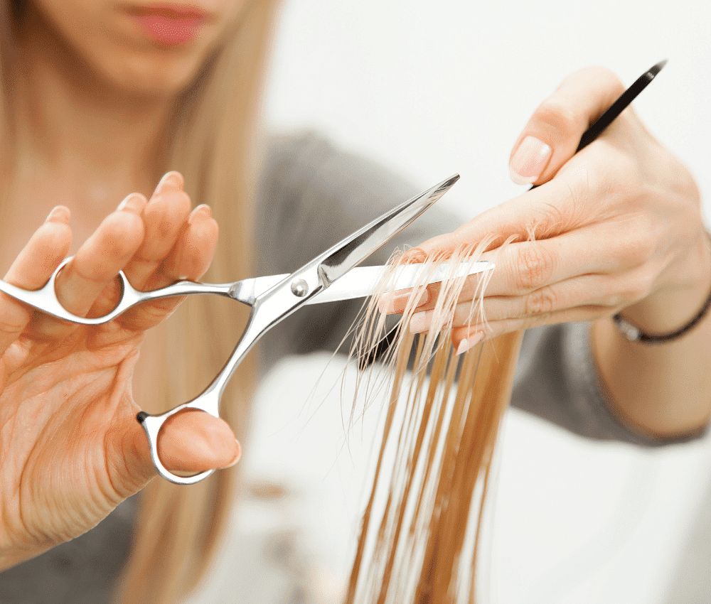Person getting a haircut, scissors trimming the ends.